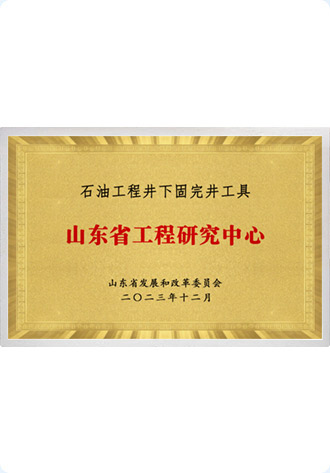 山东省工程研究中心