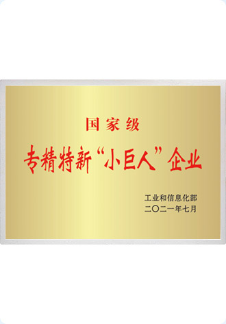 国家级专精特新“小巨人”